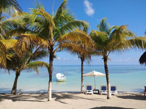 a beach with palm trees and a boat in the water at Hotel Inkanto in Mahahual