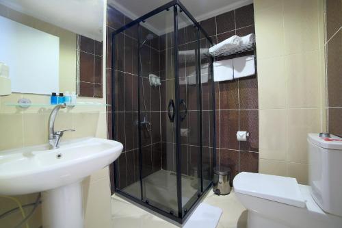 a bathroom with a shower and a sink and a toilet at Villa Vanilla Hotel in Istanbul
