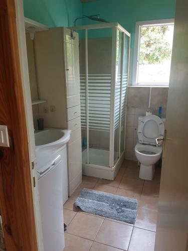 une salle de bain avec toilettes, douche et lavabo dans l'établissement Villa authentique à Patrimonio, à Patrimonio