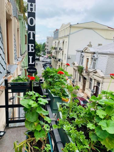 a group of plants in pots on a balcony at Hotel Brighton in Batumi