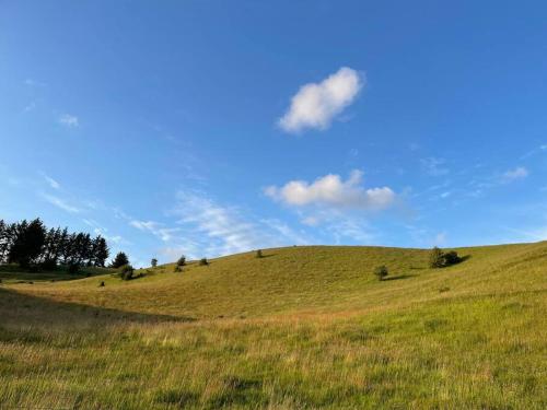 a grassy hill with a blue sky and clouds at Tiny House i storslået natur in Frederikshavn