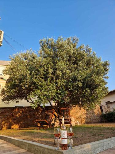 Apartmani studio apartmani Senjska maslina