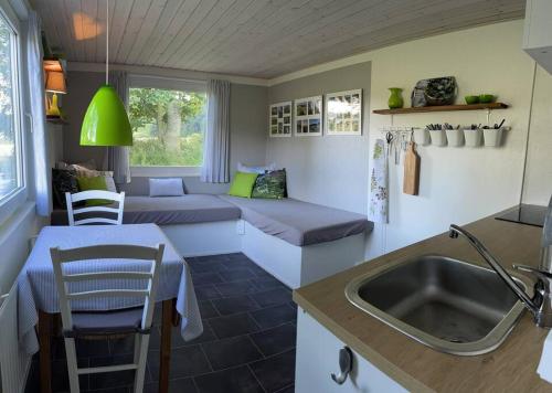 een keuken en een woonkamer met een bank en een wastafel bij Tiny House i storslået natur in Frederikshavn