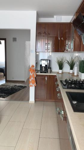 a kitchen with wooden cabinets and a stove top oven at Golden Apartament Legionów in Toruń