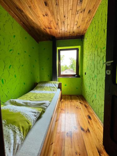 a green room with a bed and a window at Austeria Przyjezierze in Pojezierze