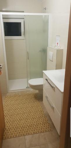 a bathroom with a glass shower and a toilet at Apartmani Kate in Klek