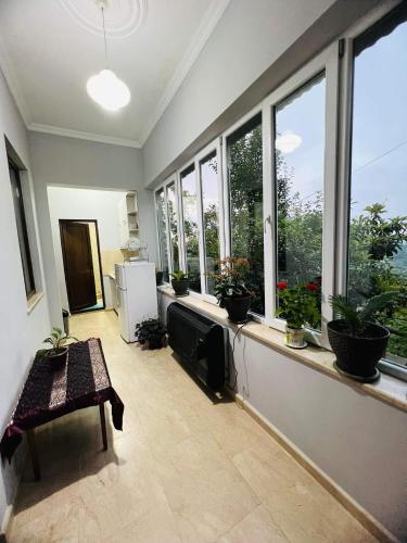 a living room with windows with plants on the ledge at House for rest in Batumi