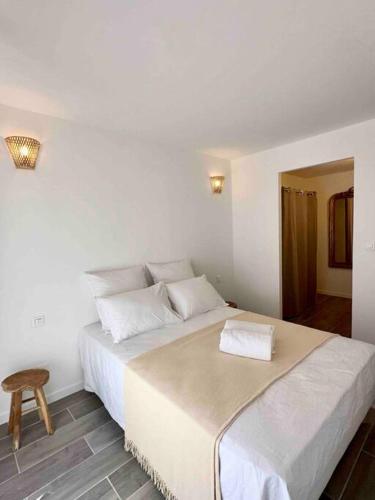 リル・シュル・ラ・ソルギュにあるLou Paseo : Appartement Brocante centre historiqueのベッドルーム1室(大きな白いベッド1台、枕2つ付)