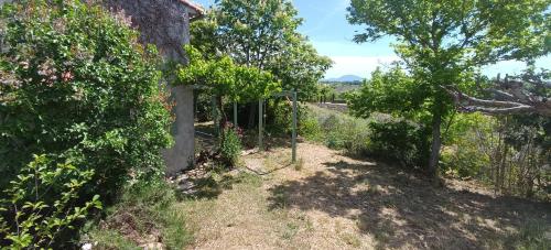 a garden with a fence and some bushes and trees at Cabanon L'Olivier in Valensole