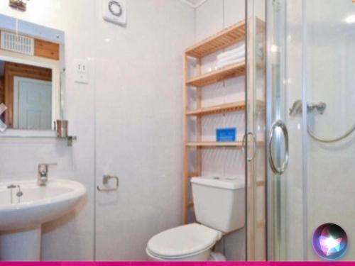 uma casa de banho com um WC, um lavatório e um chuveiro em Ben Rinnes Lodge Glenlivet Highlands em Auchnastank