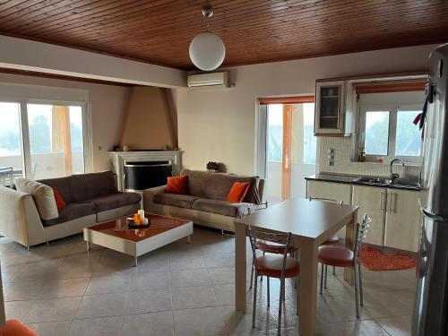 Chris luxury apartment,near Athens Airport!
