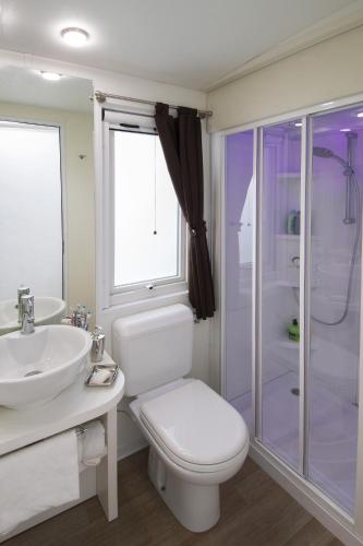 a bathroom with a toilet and a sink and a shower at La Rocca Camping Village in Bardolino