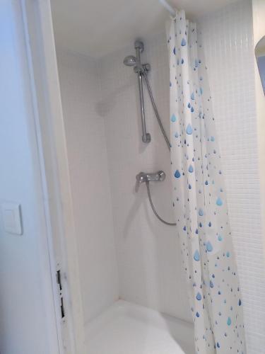 une salle de bain avec une douche avec un rideau de douche dans l'établissement La chambre de la maison bleue, à Colmar