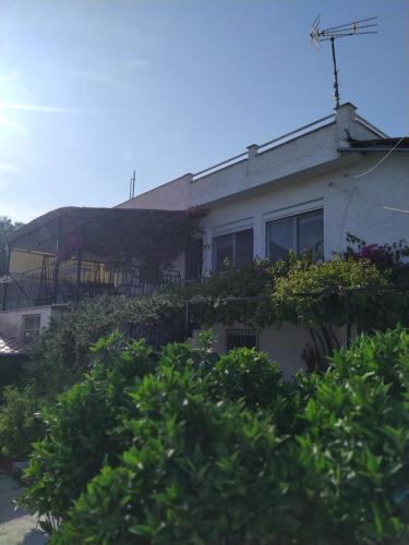 Κήπος έξω από το Kritharia Guesthouse Volos