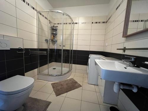 uma casa de banho com um chuveiro, um WC e um lavatório. em Apartment Spa and Fontain Poděbrady em Poděbrady