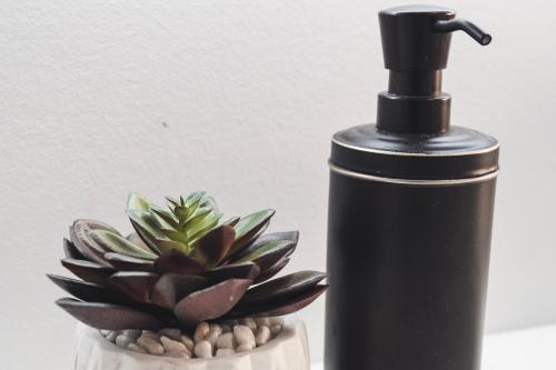 a black spray bottle sitting next to a succulent at Cozy Oasis: Luxury & Modern Apartment By Revere Beach in Revere