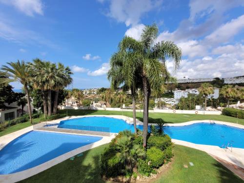 vista sulla piscina con palma di Seaview Appartment El Mirador in Sitio de Calahonda a Mijas