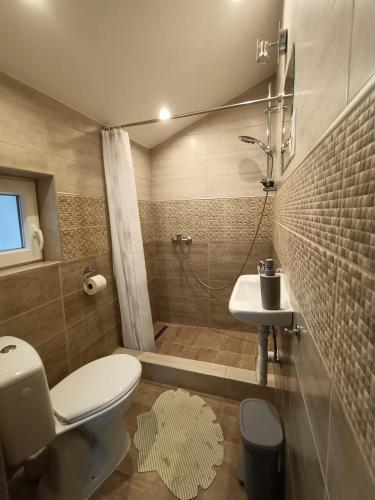 a bathroom with a toilet and a sink and a shower at Tölgyfa Vendégház in Balatonszepezd