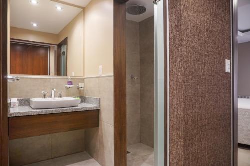 Bilik mandi di Aparts Calafate Suites