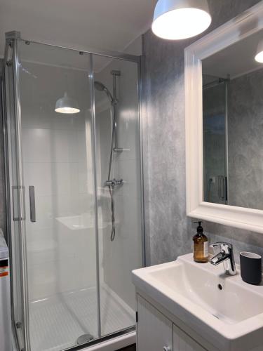 a bathroom with a shower and a sink at Downtown Apartments in Pilsen