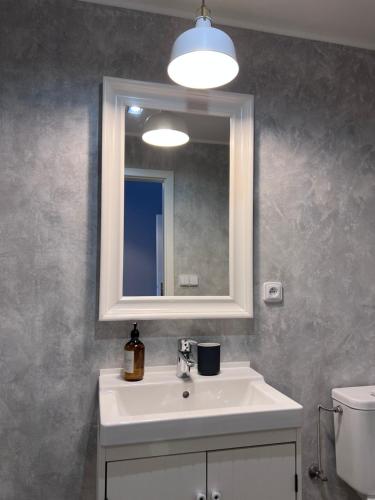 a bathroom with a sink and a mirror and a toilet at Downtown Apartments in Plzeň