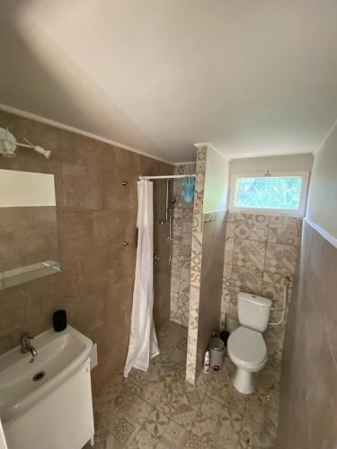 een badkamer met een toilet, een douche en een wastafel bij Aranypart Kabinház Tiszakécske in Tiszakécske