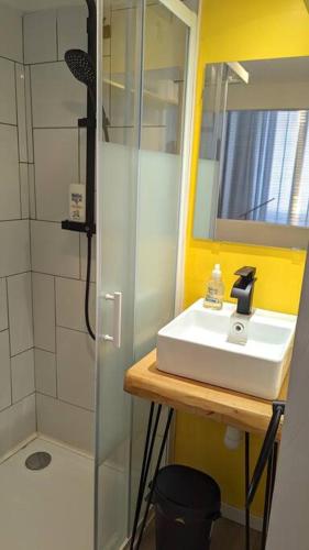 La salle de bains est pourvue d'un lavabo et d'une douche. dans l'établissement Studio mezzanine, à Foix