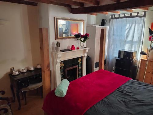 1 dormitorio con chimenea y 1 cama con manta roja en Central Nottingham Studio en Nottingham