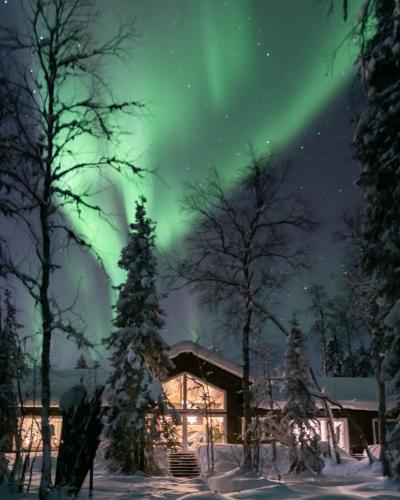 an aurora over a cabin in the snow with trees at Foxfires Private Boutique Guesthouse in Levi