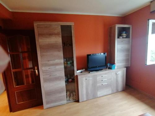 a room with a closet with a television and a door at Apartamento cerca del centro in Oviedo