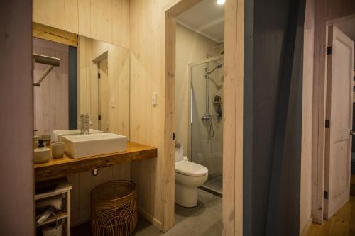 y baño con lavabo, aseo y ducha. en Refugio Austral Coigües en Corralco, en Curacautín