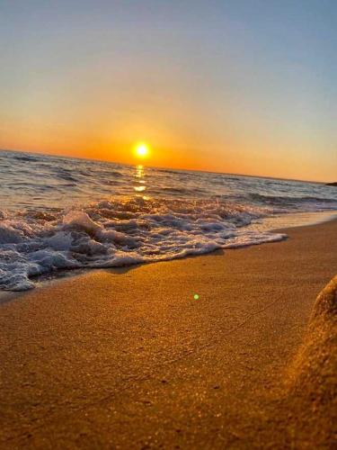 Copacabana Beach – عکس‌ها 2