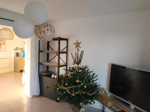 un arbre de Noël dans un salon avec une télévision dans l'établissement Virage 9 3/4, à Saint-Mandrier-sur-Mer