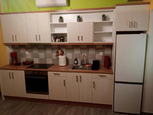 Kuchyň nebo kuchyňský kout v ubytování GS APARTMENT