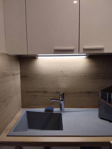 a kitchen counter with a sink and a kitchenilit at Les salenques in Toulouse