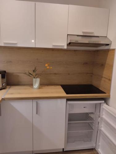 une cuisine avec des armoires blanches et un comptoir dans l'établissement Les salenques, à Toulouse