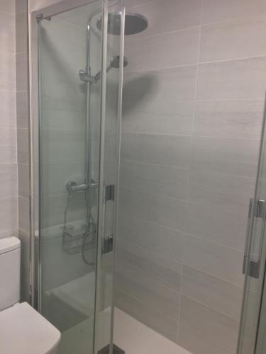 een glazen douche in een badkamer met een toilet bij paseo de la Quinta in Colindres