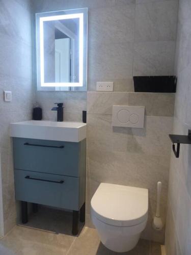 une salle de bain avec toilettes, lavabo et miroir dans l'établissement Logement idéal au centre-ville, à Cavalaire-sur-Mer