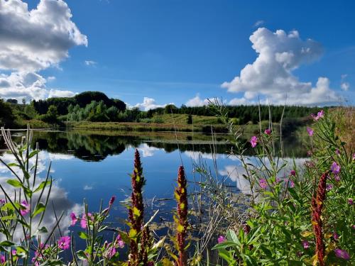 a view of a lake with clouds in the sky at Calm and idyllic surroundings in Northen Jutland in Nibe