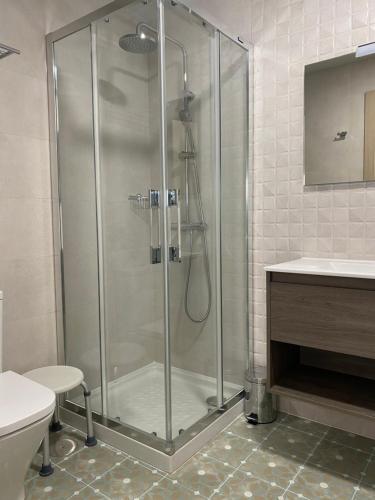 a shower in a bathroom with a toilet and a sink at Apartamentos Puertas del Orbigo in Carrizo de la Ribera