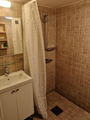 a bathroom with a shower curtain and a sink at Trevligt källare lägenhet in Jönköping
