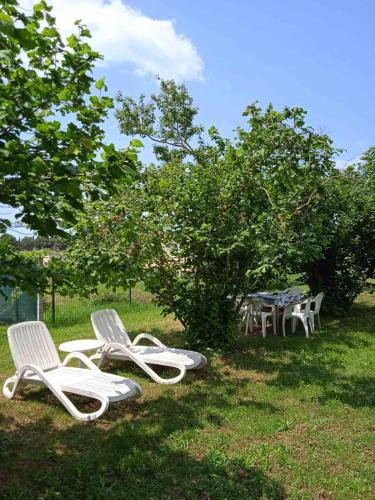 Apartman Sara