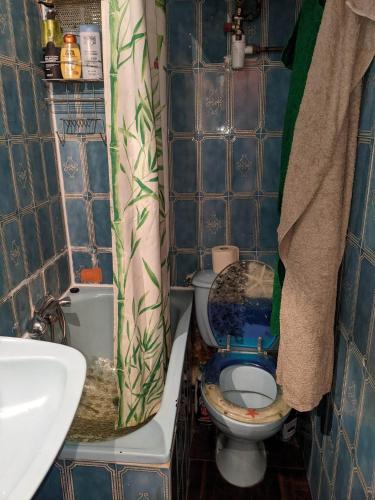une petite salle de bain avec toilettes et lavabo dans l'établissement Appartement ancien, à Paris