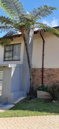a palm tree in front of a house at Cozy Guest in Graskop