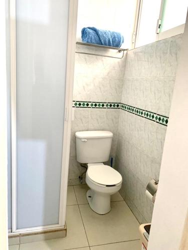 La petite salle de bains est pourvue d'une douche et de toilettes. dans l'établissement Bungamvilias Apartment, à Uruapan del Progreso