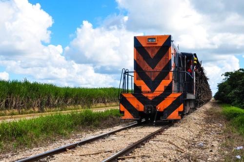an orange and black train traveling down the tracks at Campito Loving in Higuey