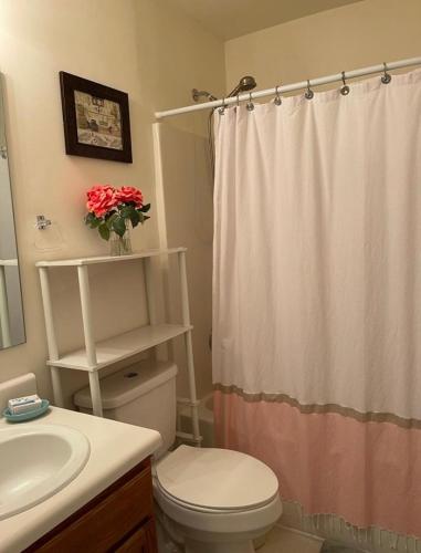 ein Bad mit einem WC und einem Duschvorhang in der Unterkunft Private Bed and Bath in Charlotte in Charlotte