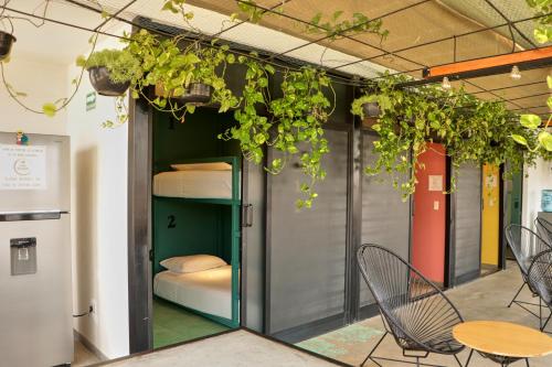 a room with plants hanging from the ceiling at Casa Nomada Hotel - Hostal in Tuxtla Gutiérrez