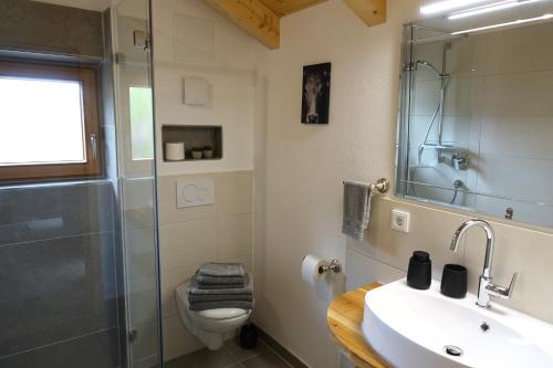 een badkamer met een toilet, een wastafel en een douche bij Bleierhof in Kiefersfelden