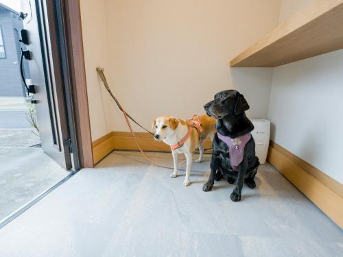 Zwei Hunde sitzen in einem Zimmer mit Blick auf die Tür in der Unterkunft Rakuten STAY VILLA Yatsugatake - 107 Simple Modern - in Hokuto
